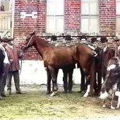 Наши парни и Луи Диллон перед московскими конюшнями.