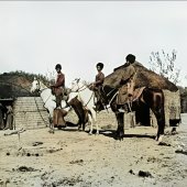 Окрестности Асхабада. Туркменская милиция на конях.