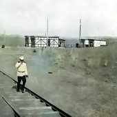 Каракумы между Репетеком и Чарджуем. Насаждения для защиты железной дороги.